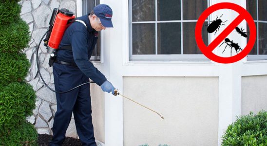Payamlı Bit İlaçlama böcek ilaçlama ve haşere kontrolü — ilaclama-tr.com